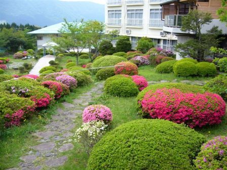 仙石原温泉箱根鲍威尔酒店