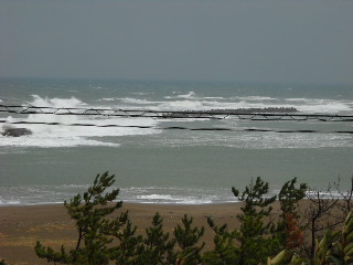 海の風景（１２月）