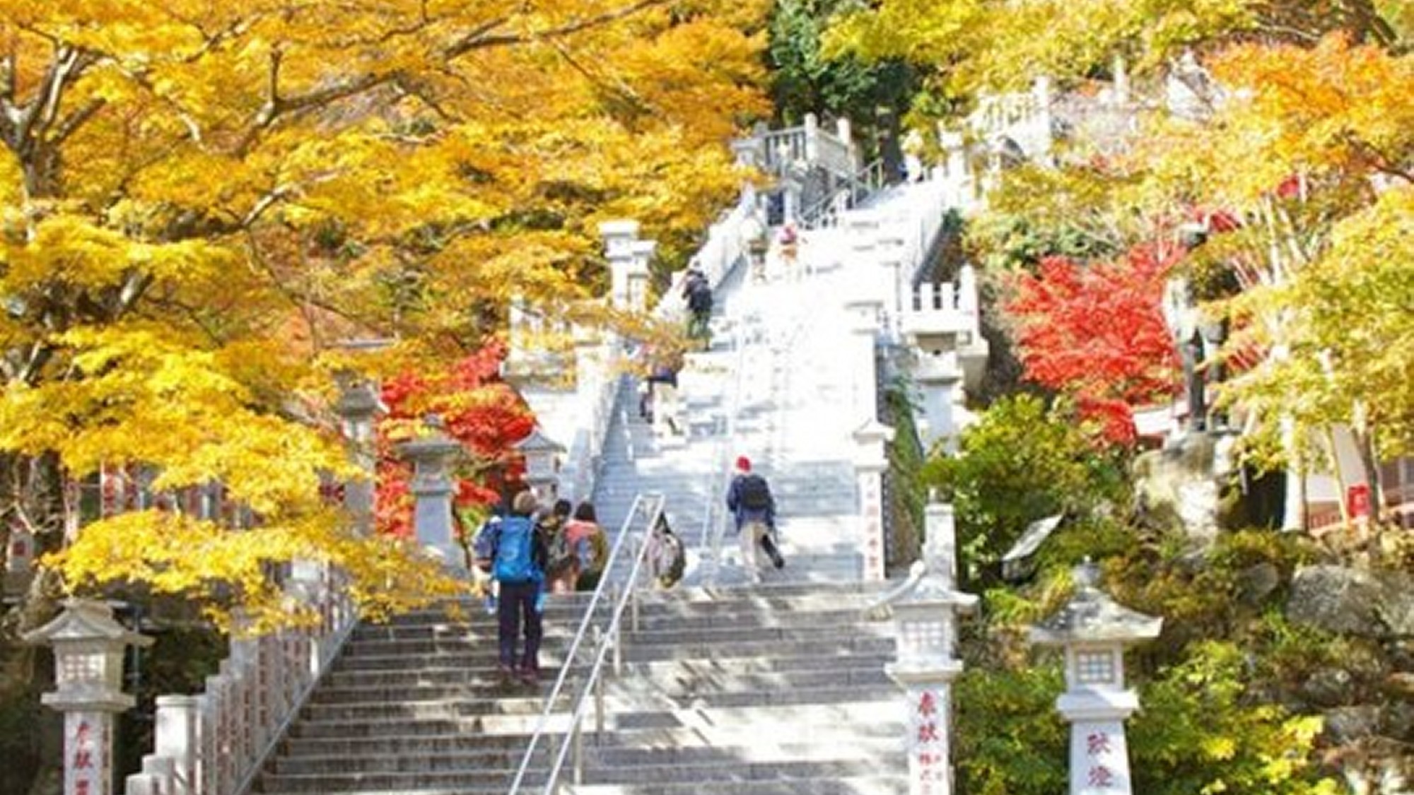 大山阿夫利神社下社階段下エリアの紅葉