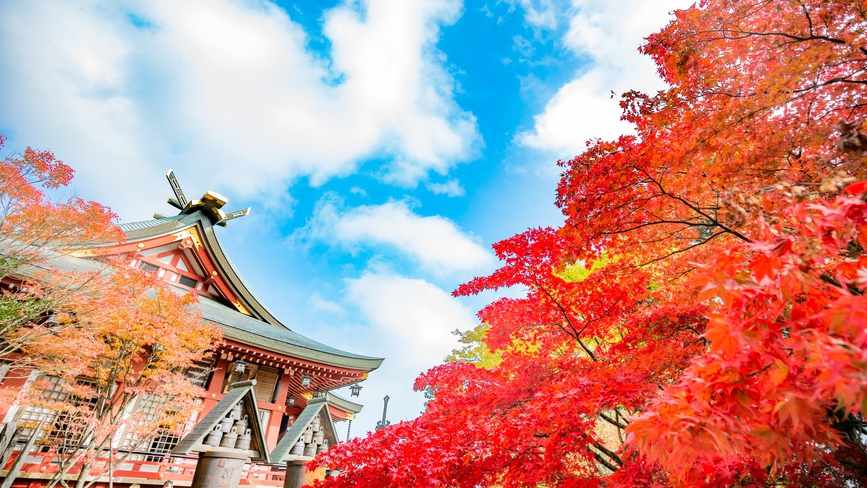 大山阿夫利山神社