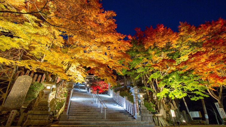 大山阿夫利山神社紅葉ライトアップ