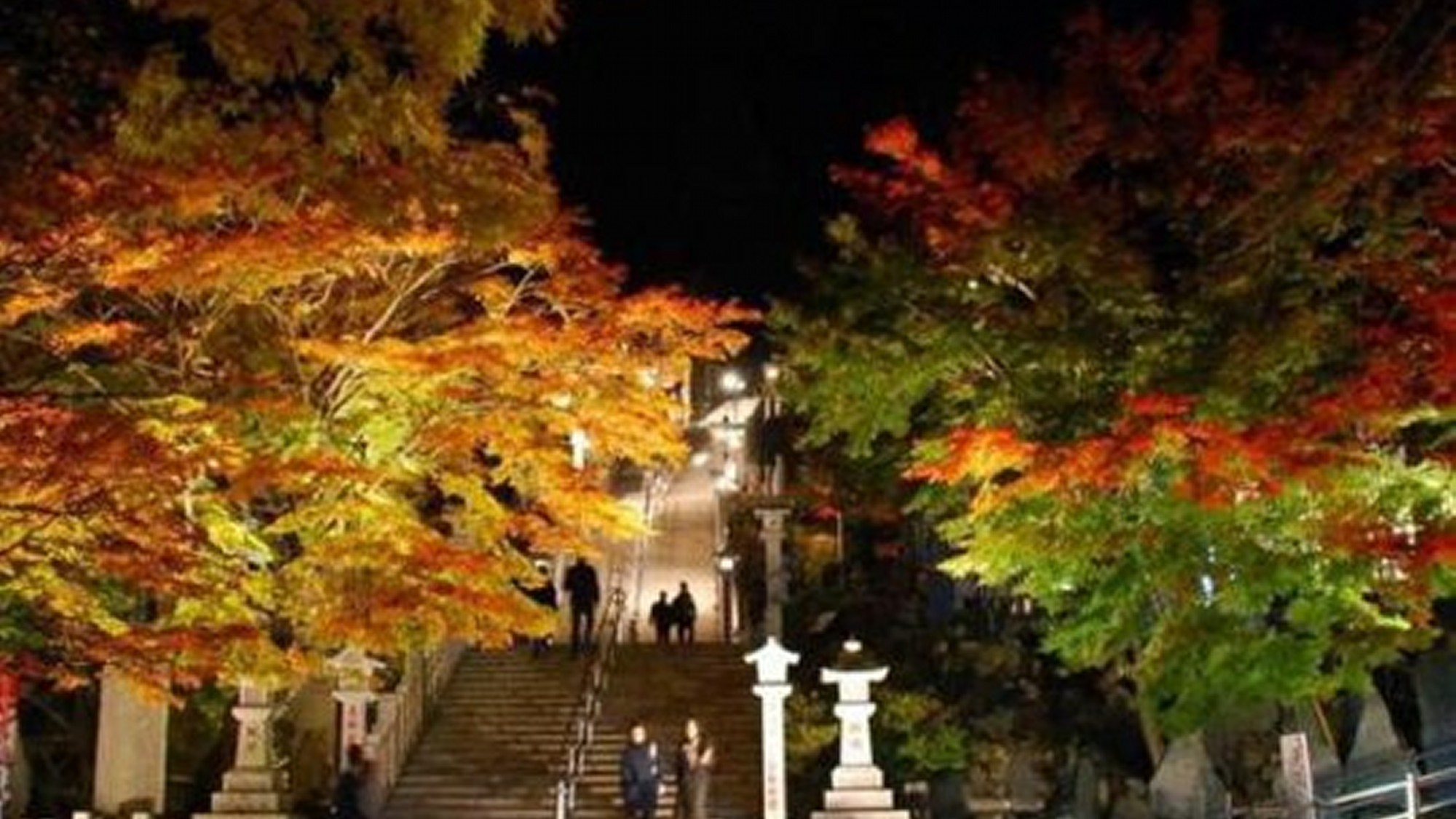 大山阿夫利神社下社階段下エリアの紅葉