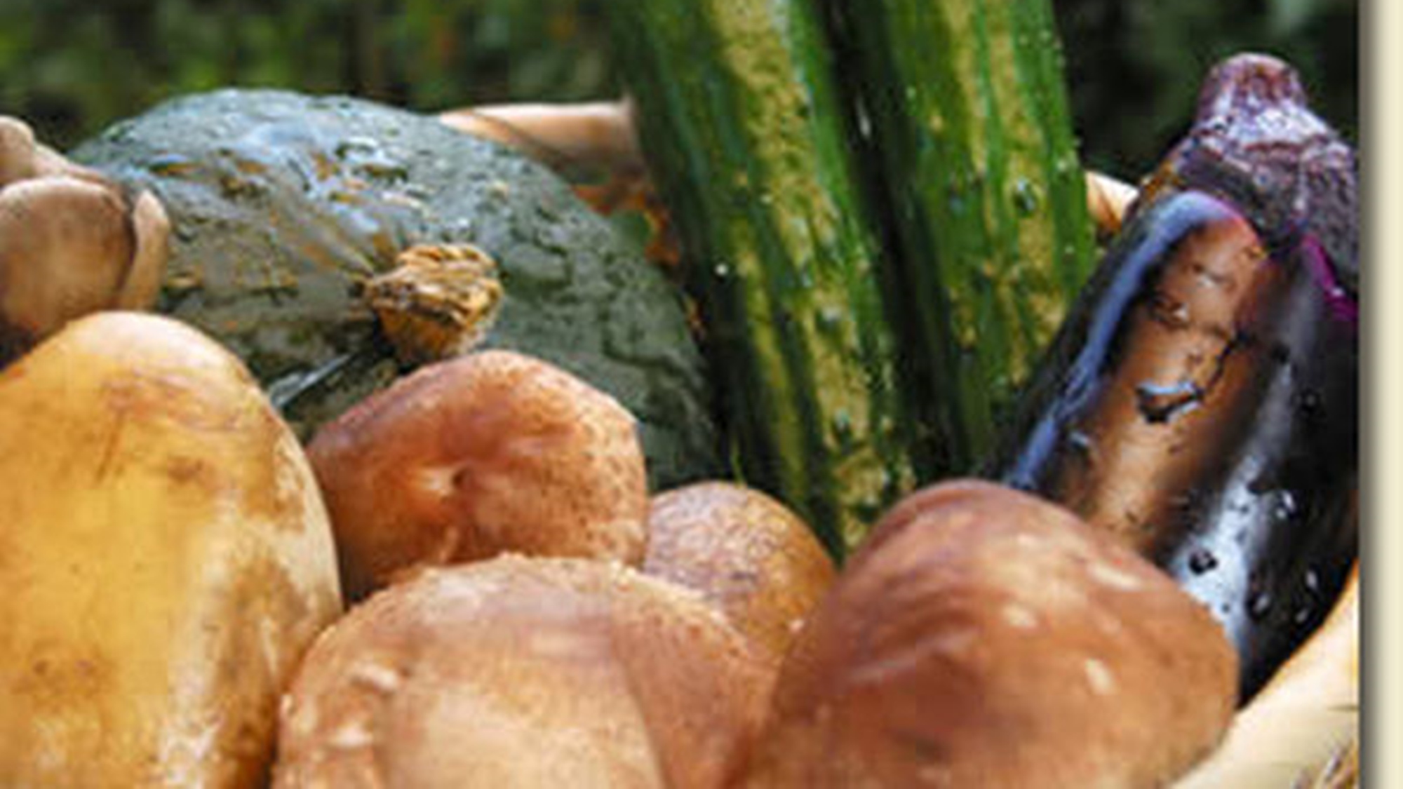 [食材一例]お野菜も地元のものを中心に鮮度の良いものを使用しています。
