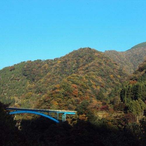 【山々】季節ごとに表情を変える丹沢の山々。季節の事の楽しむ事が出来ます。