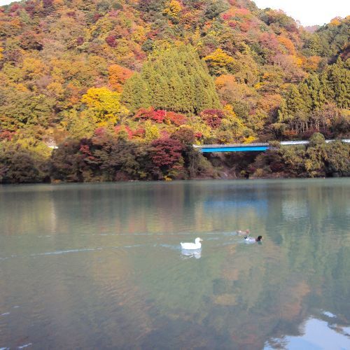 【丹沢湖】秋の紅葉と丹沢湖はパワースポットだと自負しております。