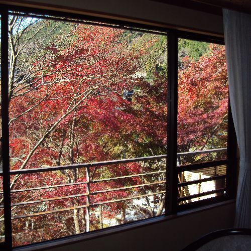 【和室一例】喧騒から離れた山里。丹沢の自然を眺めながら安らぎのひとときをお過ごしください。