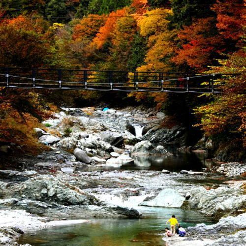 【秋の景色】川のせせらぎを聞きながら紅葉を観賞してはいかがですか？