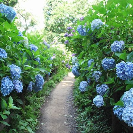 湯田上温泉　越後乃お宿　わか竹