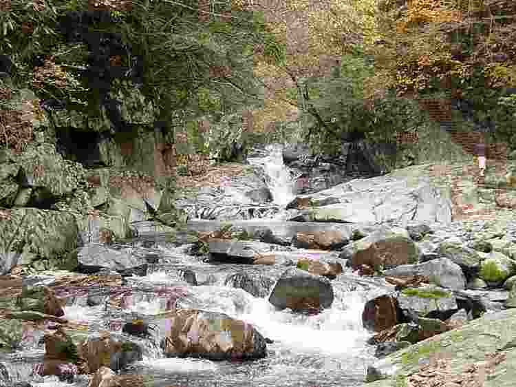 「河鹿の滝」付近の自然研究路