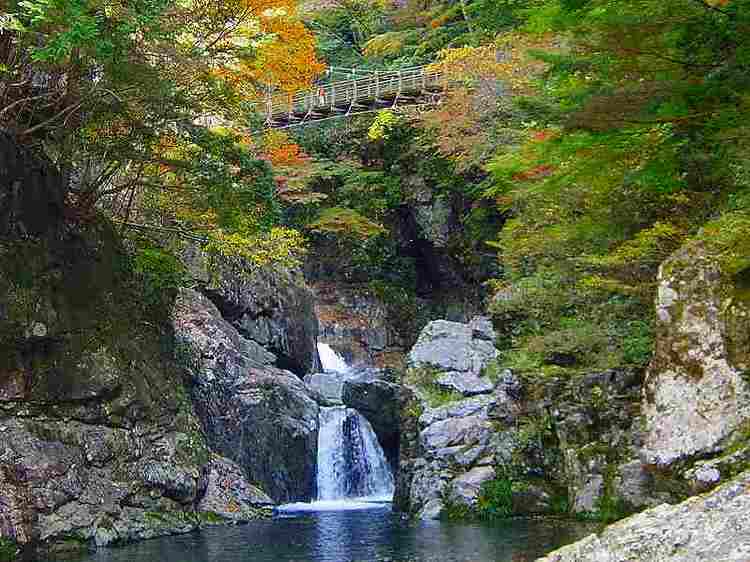 御手洗渓谷の紅葉