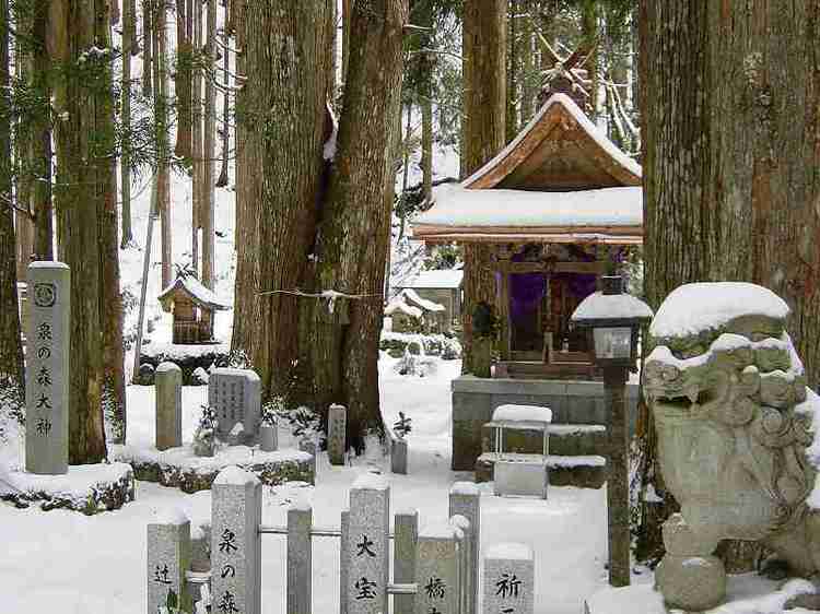 「泉の森」さんと名水