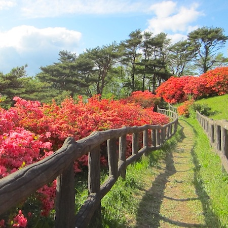 【田束山】山頂の散歩道、景色のいいところです、５月...