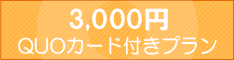 3,000円QUOカード付きプラン