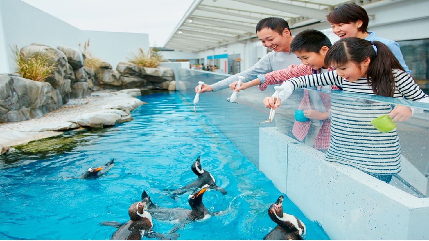 うみの杜水族館