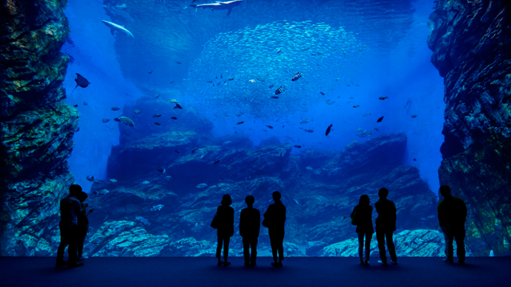 うみの杜水族館