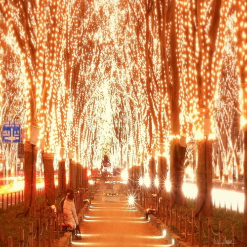 12月イベント_仙台光のページェント