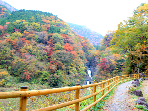 20赤水の滝の紅葉