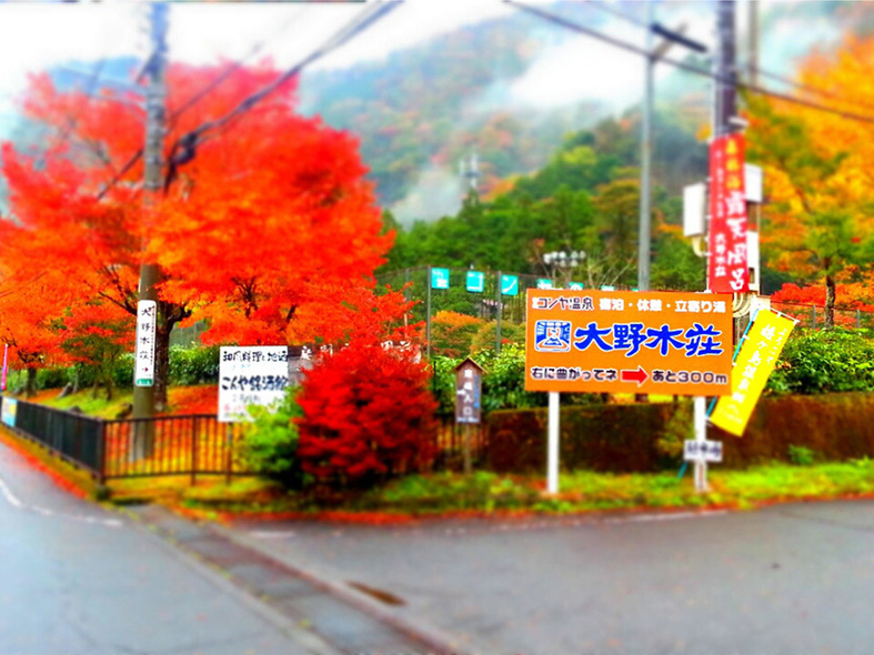 20紅葉に染まった大野木荘入り口
