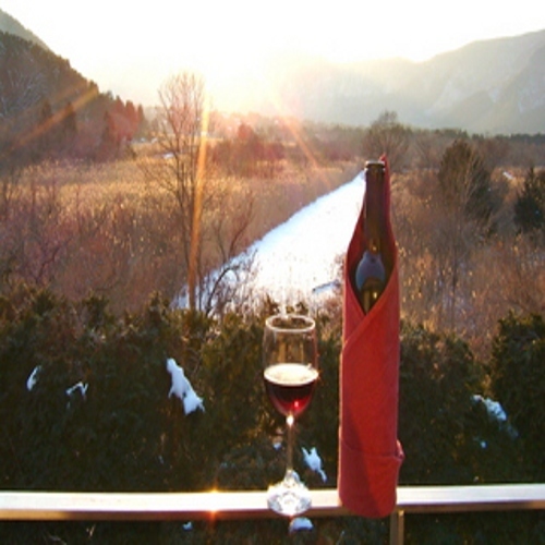 サロンからの眺め