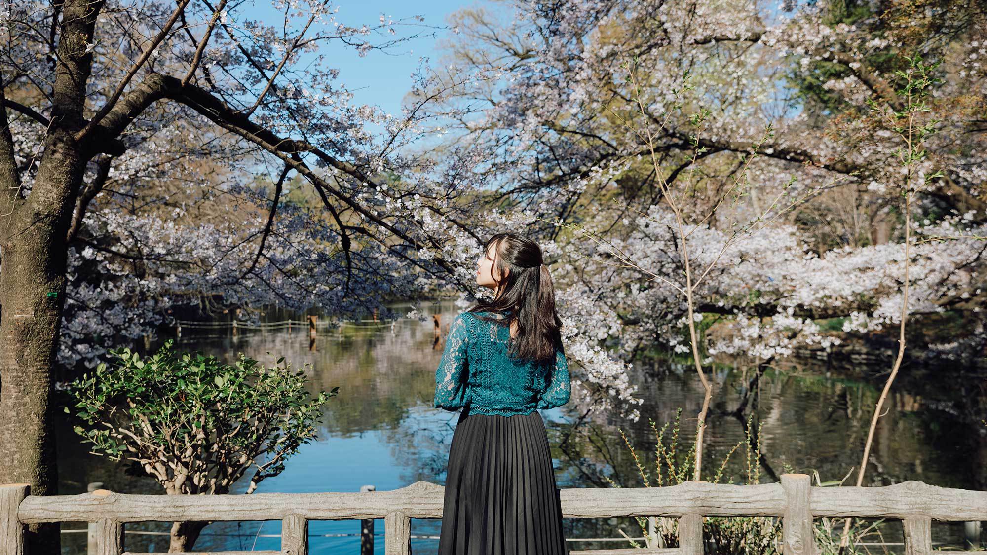 井の頭恩賜公園