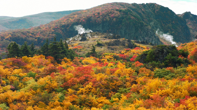 「神の絨毯」とも称される全山紅葉！岩手・宮城・秋田の３県にまたがる栗駒山（1626ｍ）素晴らしい山旅