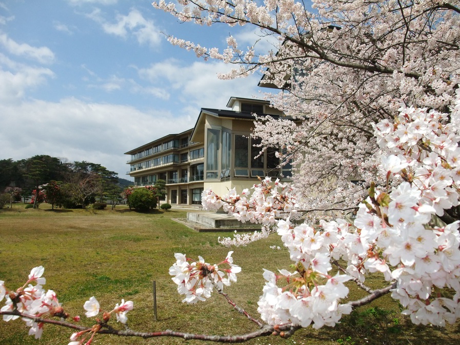 庭園・桜