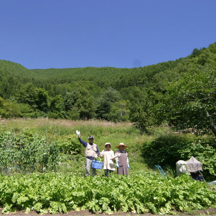 自家農園自慢の高原野菜をどうぞ