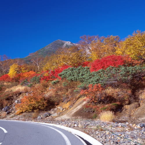 乗鞍岳の紅葉