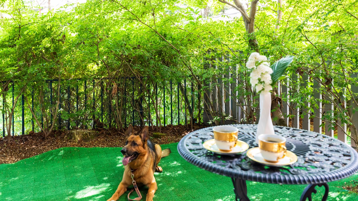 ガーデン・コンフォートわんちゃんもリラックスのひととき