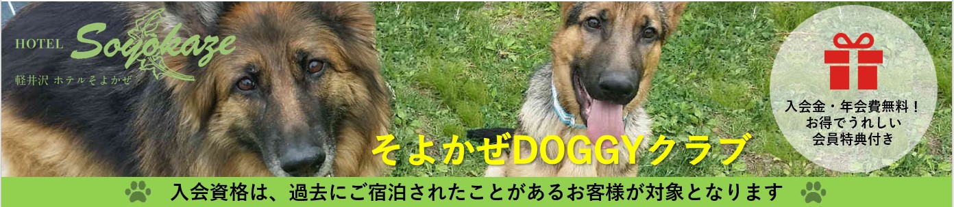 そよかぜドギークラブのご案内