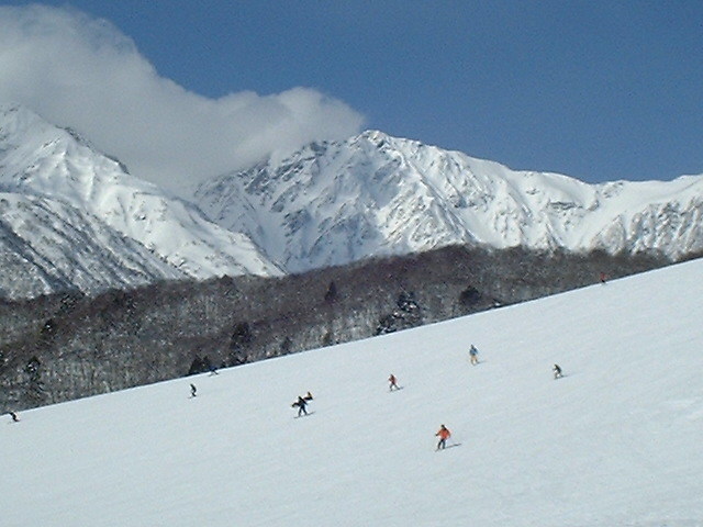 岩岳スノーフィールド