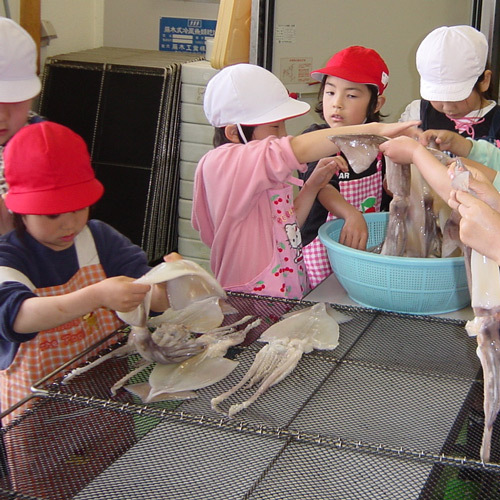 お子様も大喜び！！能登の名産イカの一夜干しを体験。