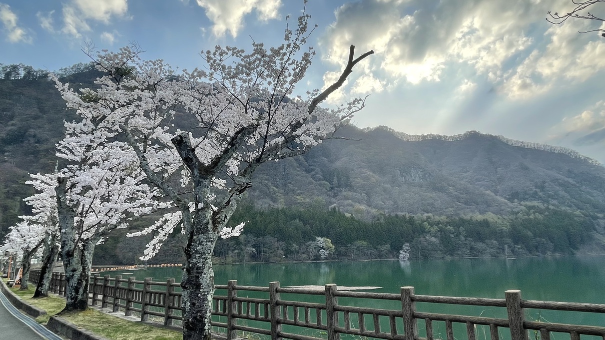 春の赤谷湖