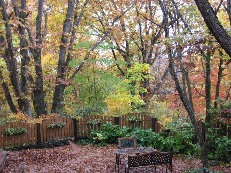 ノエルの秋の庭