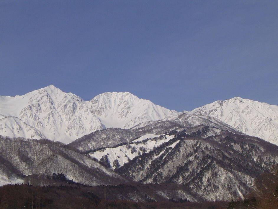 冬