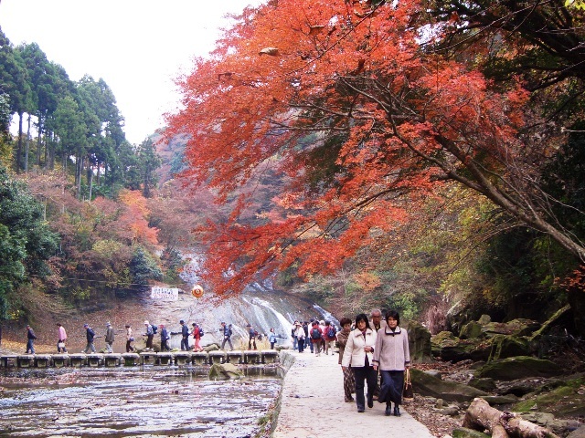 紅葉の養老渓谷