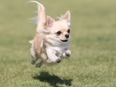 This photo about Kyoraian Matsushirokan shared on HyHotel.com