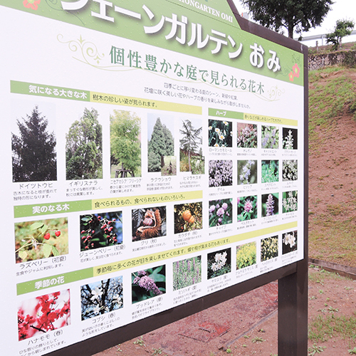 庭園内に咲く花の案内板