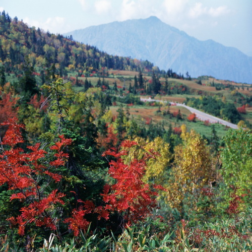 弥陀ヶ原（秋）