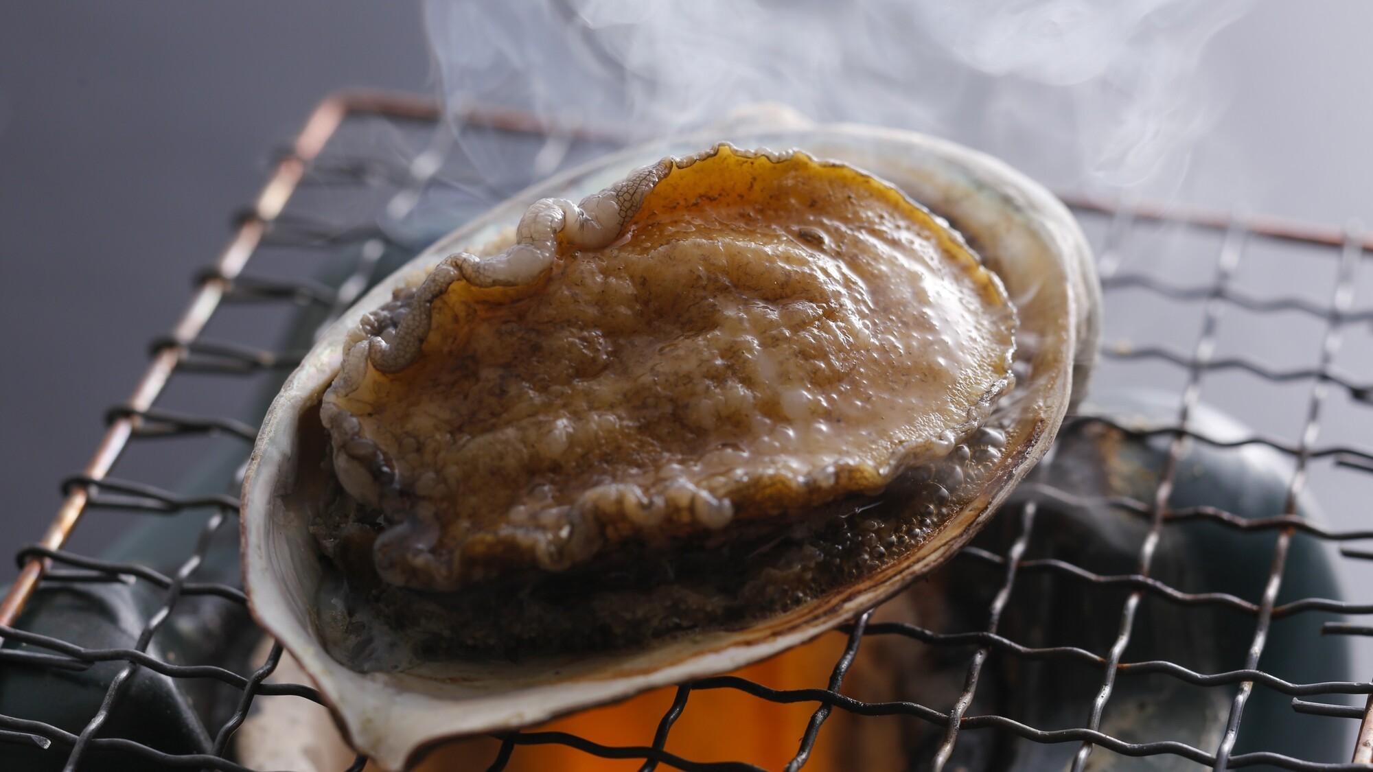 新鮮あわびの踊り焼きを堪能」