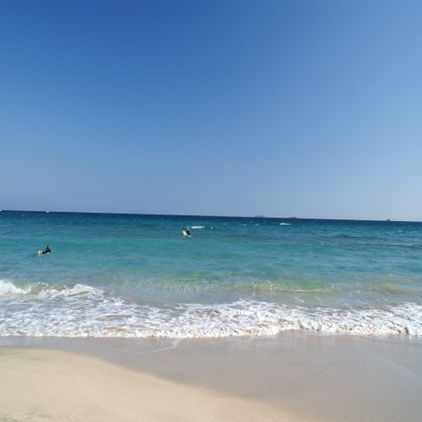 南伊豆の海はどこも「水質ＡＡ」の最高評価【多々戸浜】