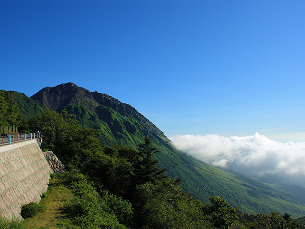 仁田峠 春はミヤマキリシマ、夏はヤマボウシ、秋は紅葉、冬は霧氷が楽しめます