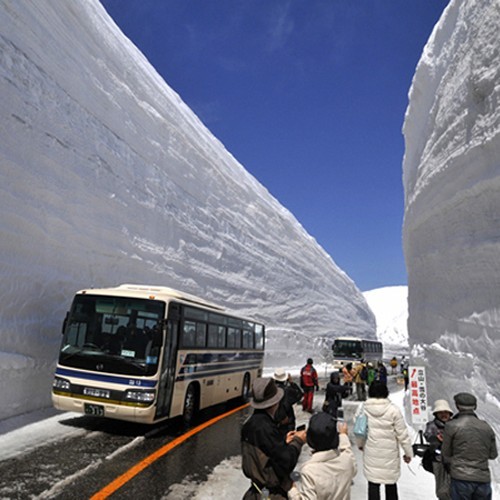 雪の大谷ウォーキング