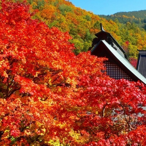 大町の紅葉スポット『霊松寺』