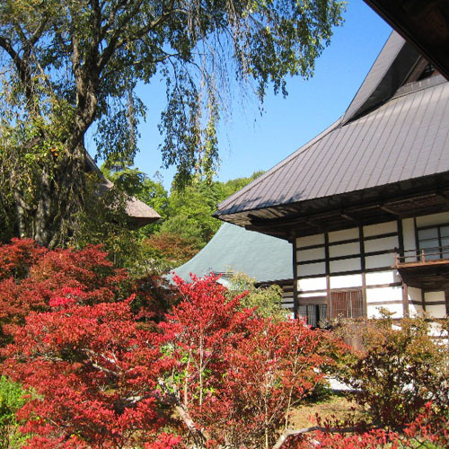 紅葉スポットが見事な『霊松寺』