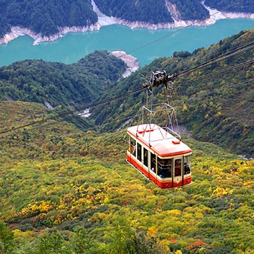 紅葉の『大観峰』