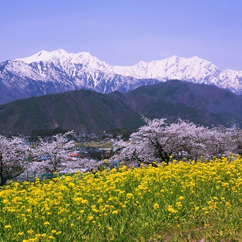 春の大町