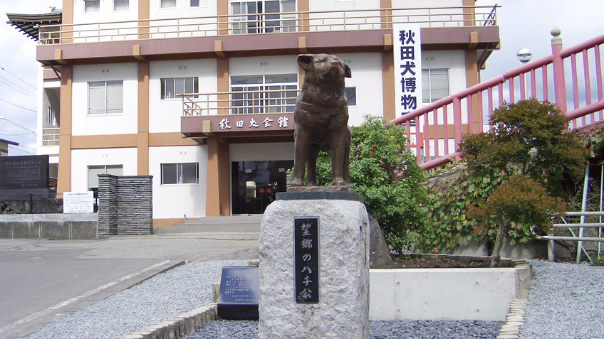 *【周辺】秋田犬会館／大館市は秋田犬発祥の地。秋田犬の歴史や生態系など詳しい資料が展示されています。