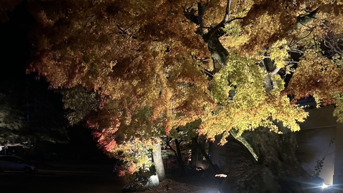梅園外観紅葉