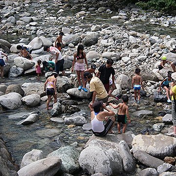 谷川温泉恒例！マスのつかみ取り